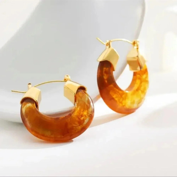 Vintage Brown Transparent Hoop Earrings - Picture 1 of 6